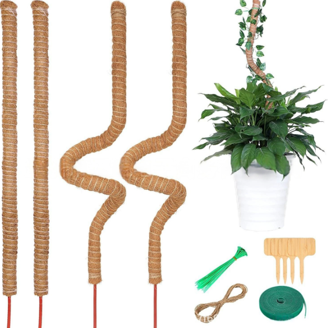 4 Bendable Moss Stakes for Climbing Plants, 100cm, Plant Support for Ivy and Monstera (4mm)