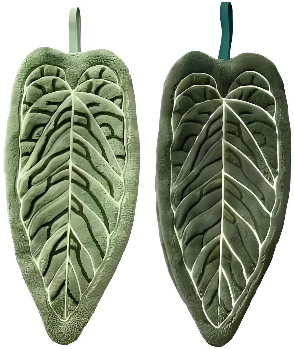 Towels - Towel Set - Soft, absorbent coral fleece kitchen and bathroom towels with hanging loops for easy dishwashing and hand washing - 2-pack (dark green, light green)