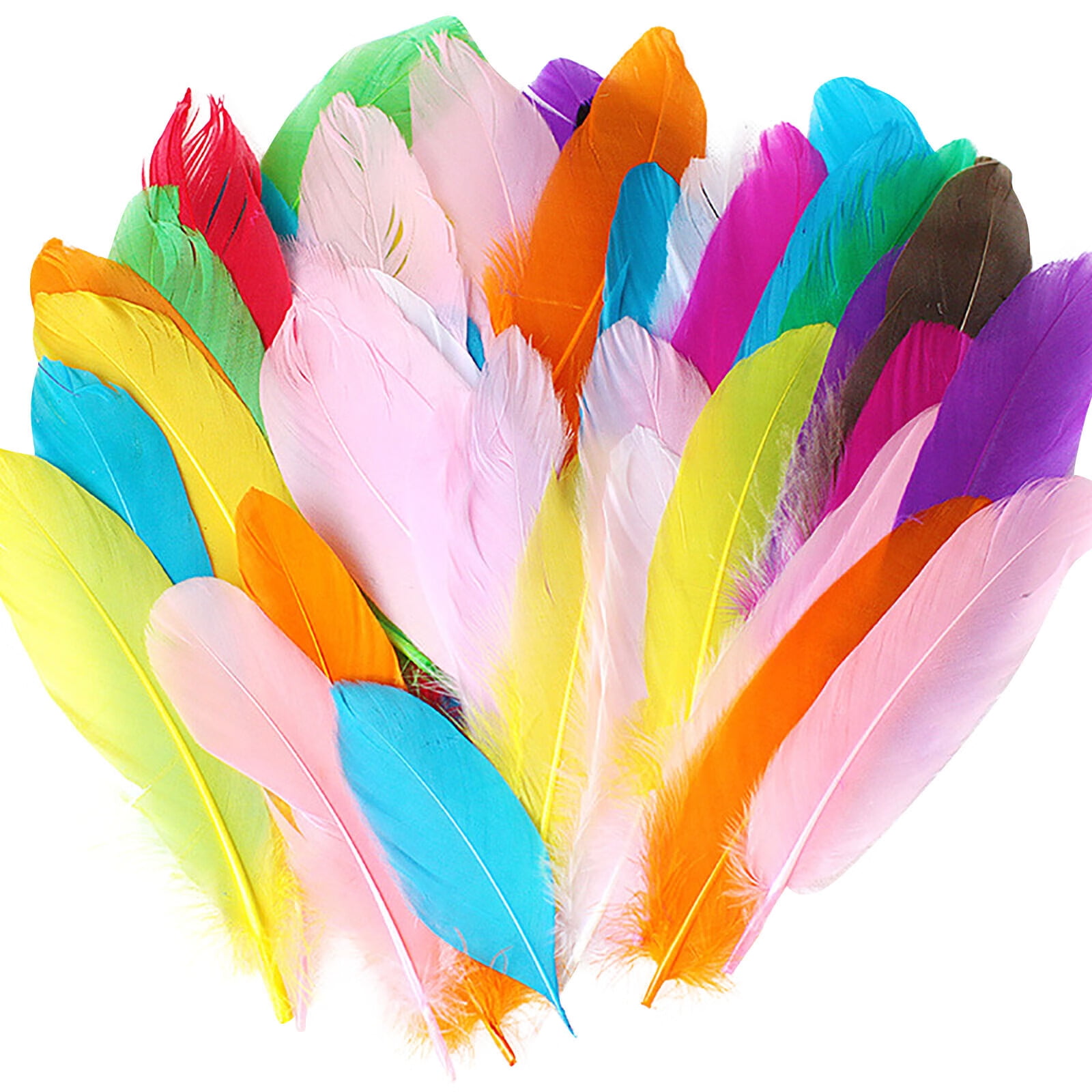 Coopserbil DIY Natural Colourful Craft Feathers (50 Count) One Size I