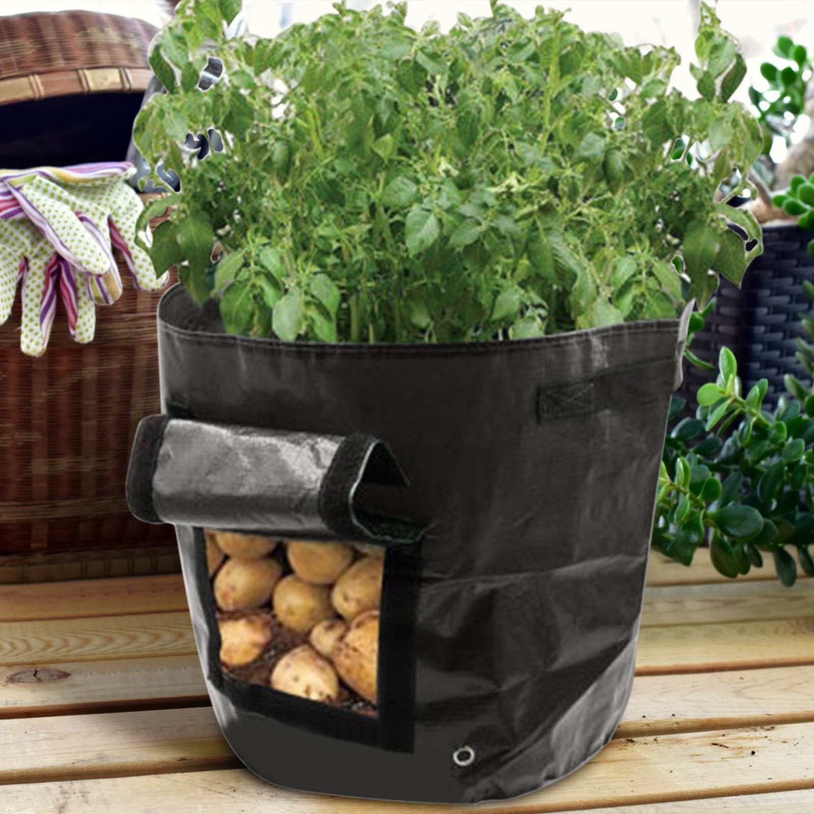 Suncoda Summer Savings 34x35cm Potato Grow Bag with Side Window & Handles 14" x 20" Black#4