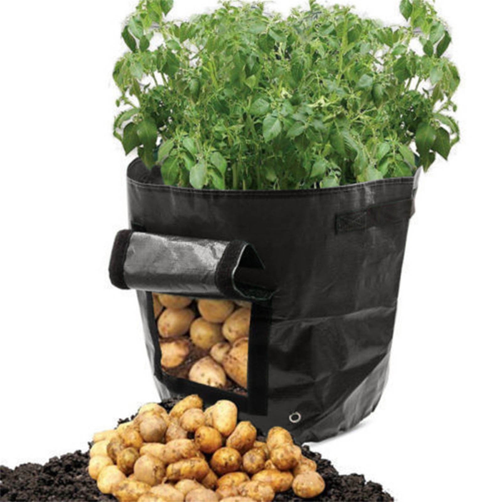 Suncoda Summer Savings 34x35cm Potato Grow Bag with Side Window & Handles 14" x 18" Gray#3