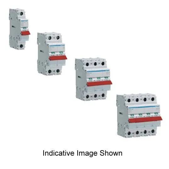 Hager Mains Isolating Switch 1P 80A 230V 1NO Screw DIN Rail Mount | SBR180