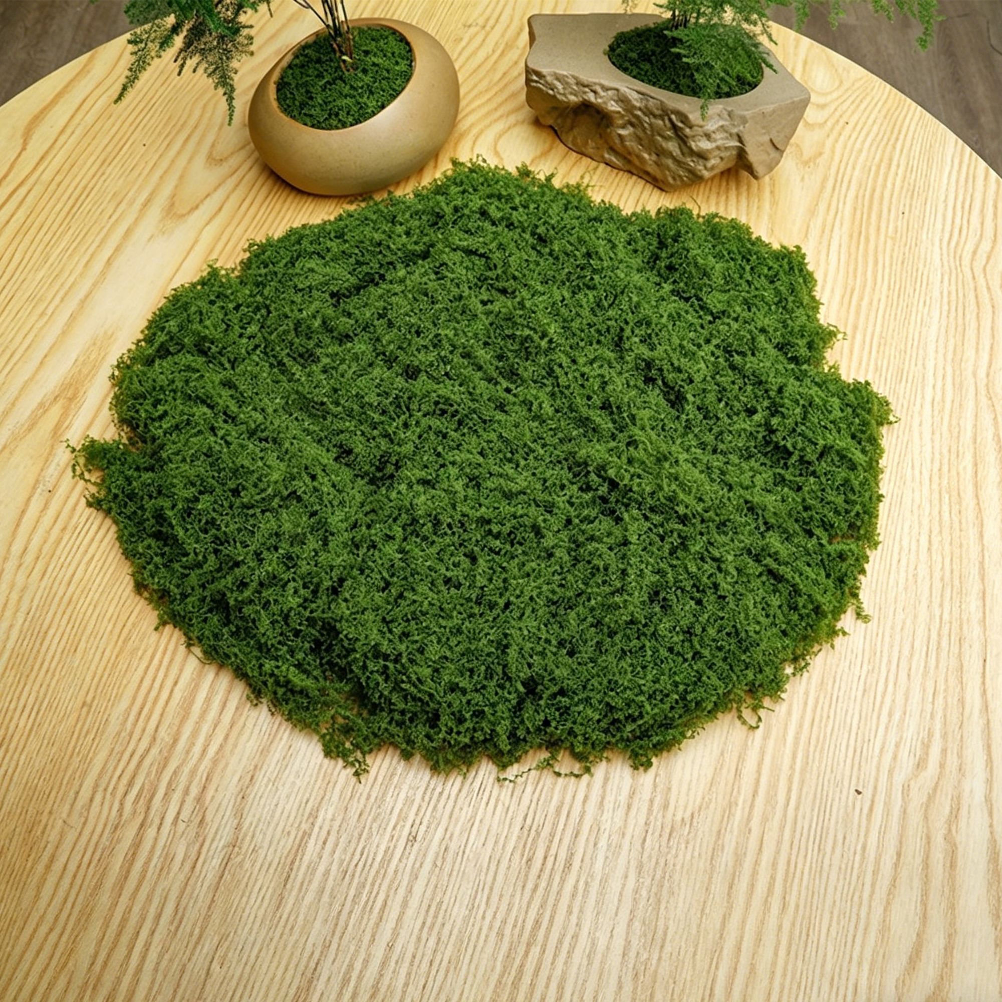 diy artificial moss lawn-Dark Green Filamentous Moss 50g