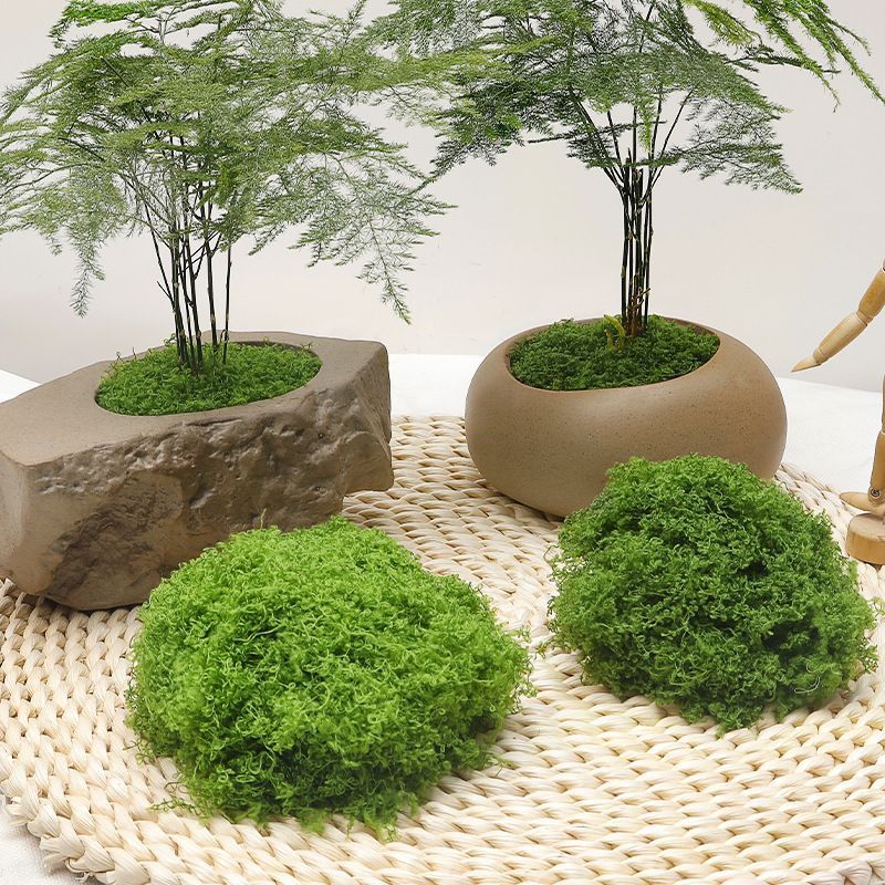 diy artificial moss lawn-Light Green Filamentous Moss 200g
