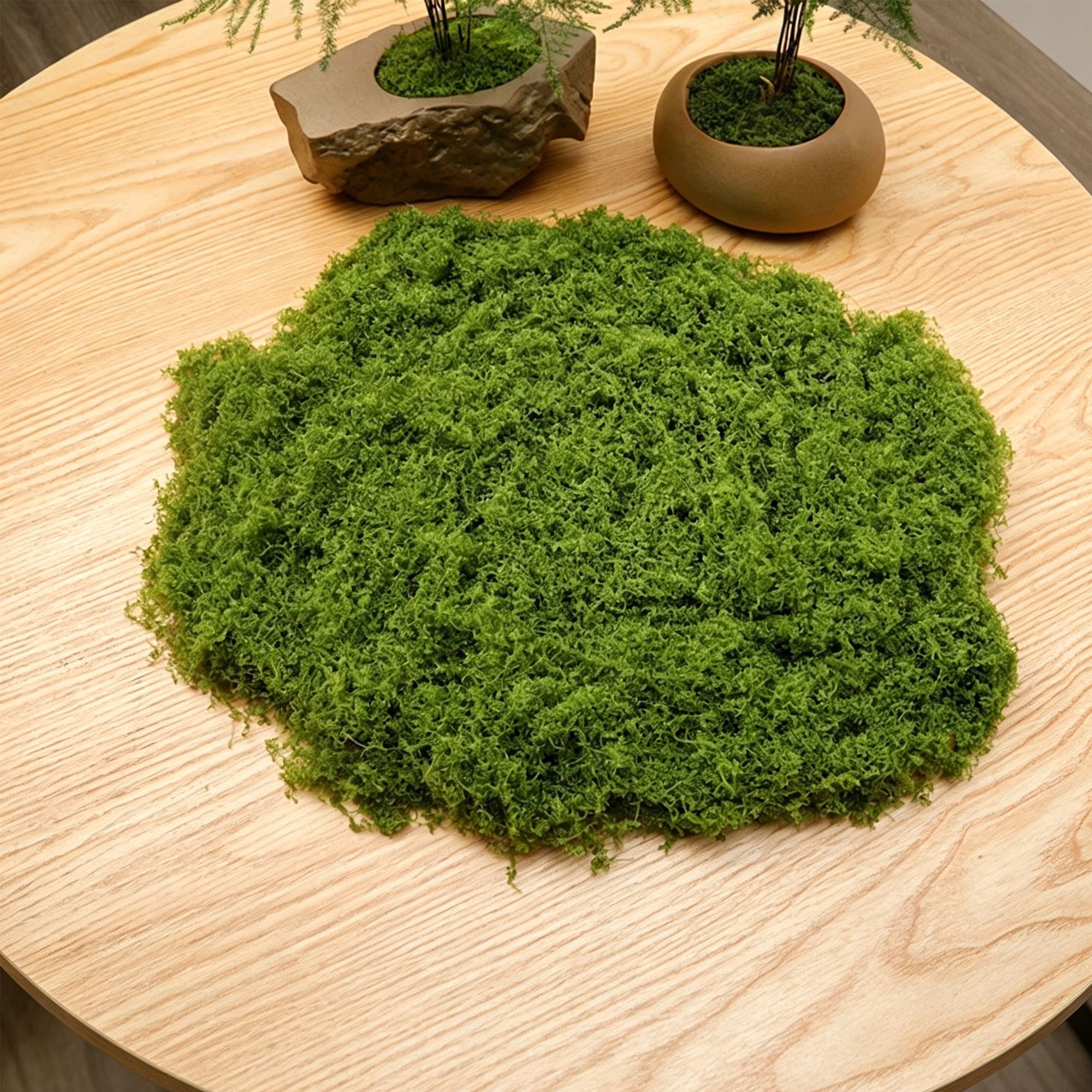 diy artificial moss lawn-Light Green Filamentous Moss 50g