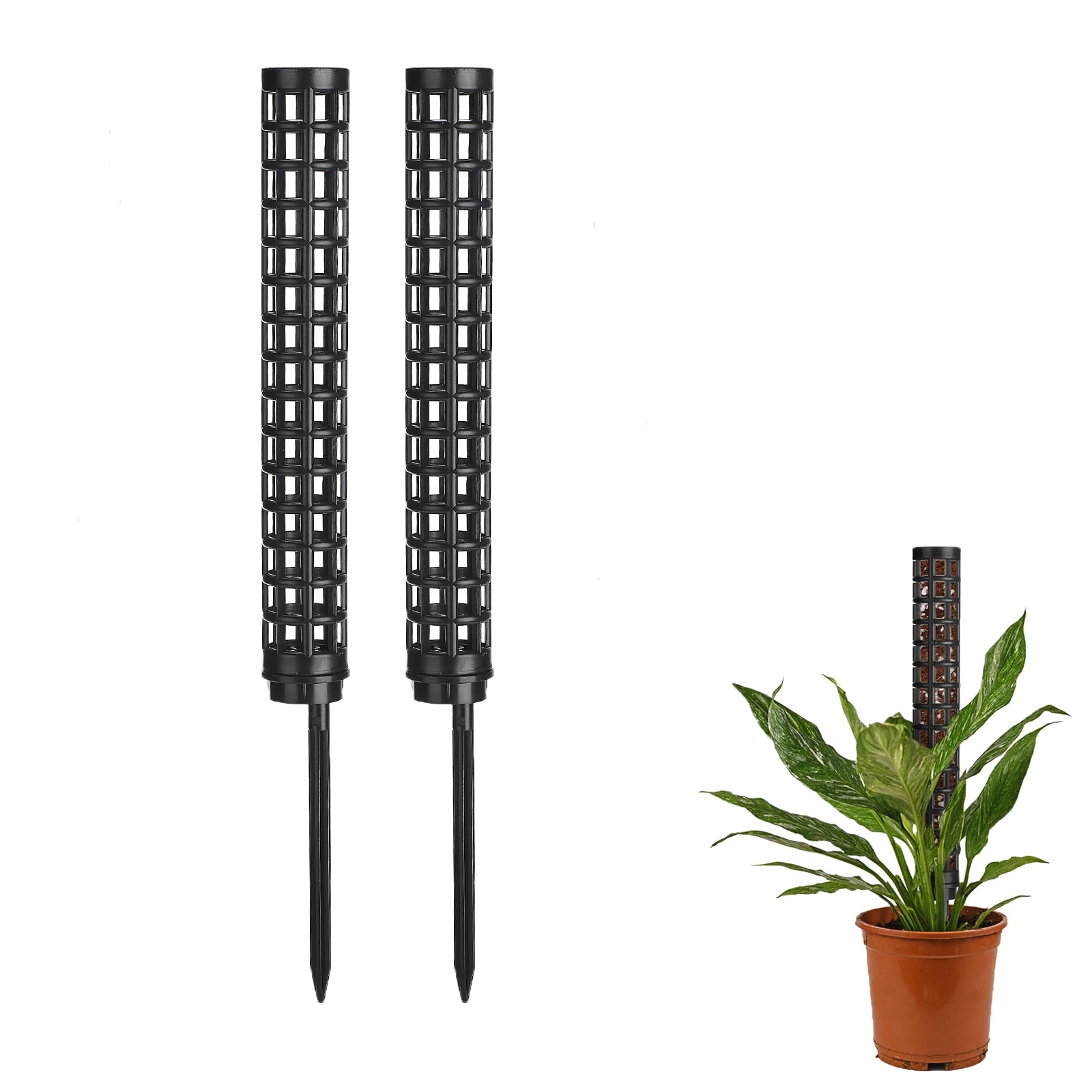 Moss stakes for climbing plants Black Variety
