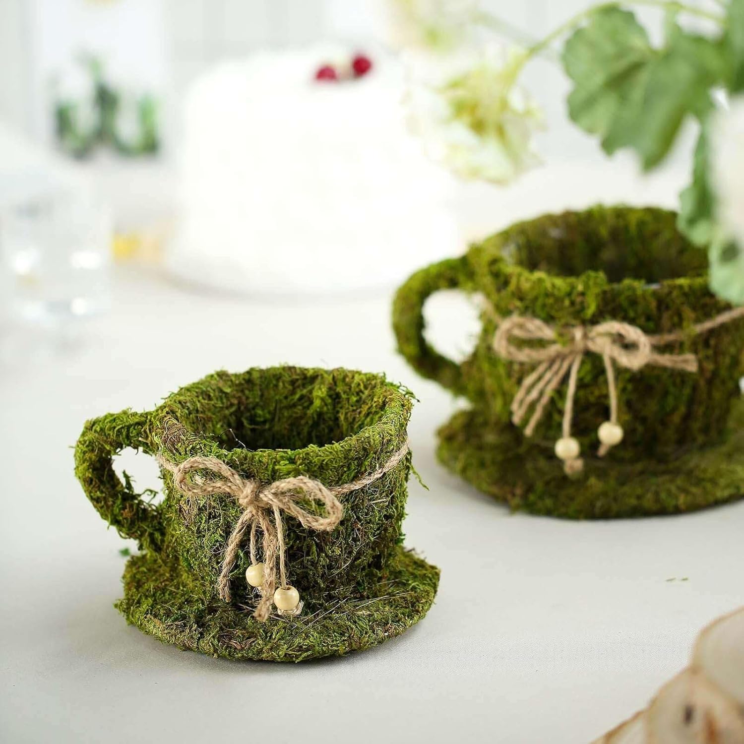 Efavormart Set of 2 Preserved Moss Teacup Planters with Natural Twine Bow, 5" and 4.5" Whimsical Moss-Covered Gift Boxes for Small Succulents