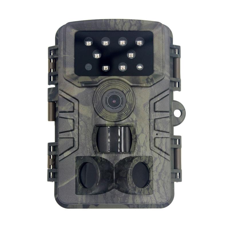 1080p Wildlife Hunting Camera with Night Vision for Outdoor Tracking