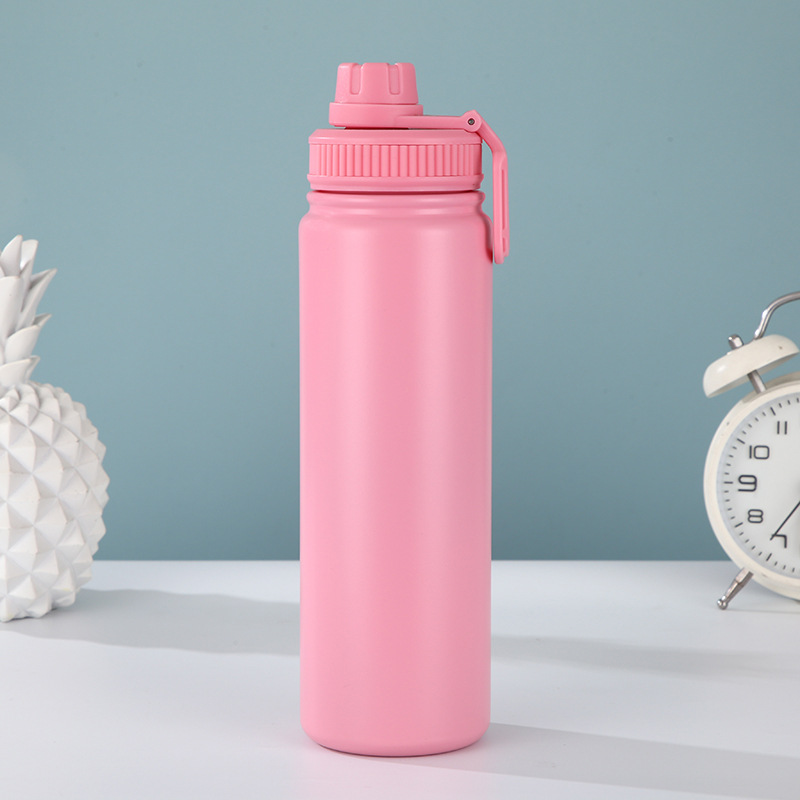 Pink Portable Travel Thermos Bottle - Leakproof Stainless Steel Flask with Carry Handle (25oz - 750ml)
