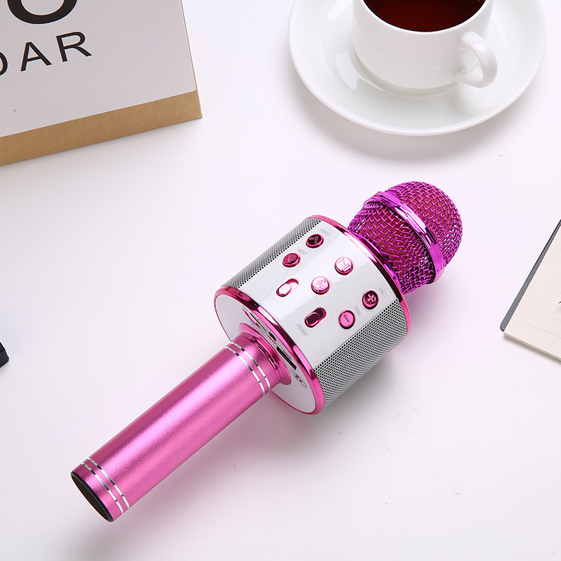 Rose red Bluetooth 5.0 Karaoke Microphone for Family Entertainment