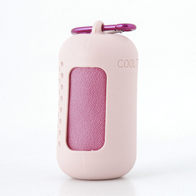 Pink Quick Dry Cooling Towel Set (2 Pack) - Microfiber Sport Towels with Silicone Cases & Carabiners