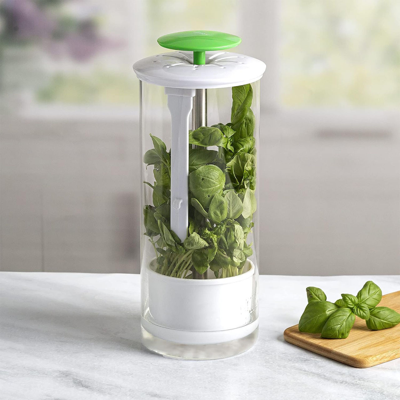 Green Premium Herb Savor & Freshness Keeper - Extends Life of Herbs, Cilantro, Parsley & More