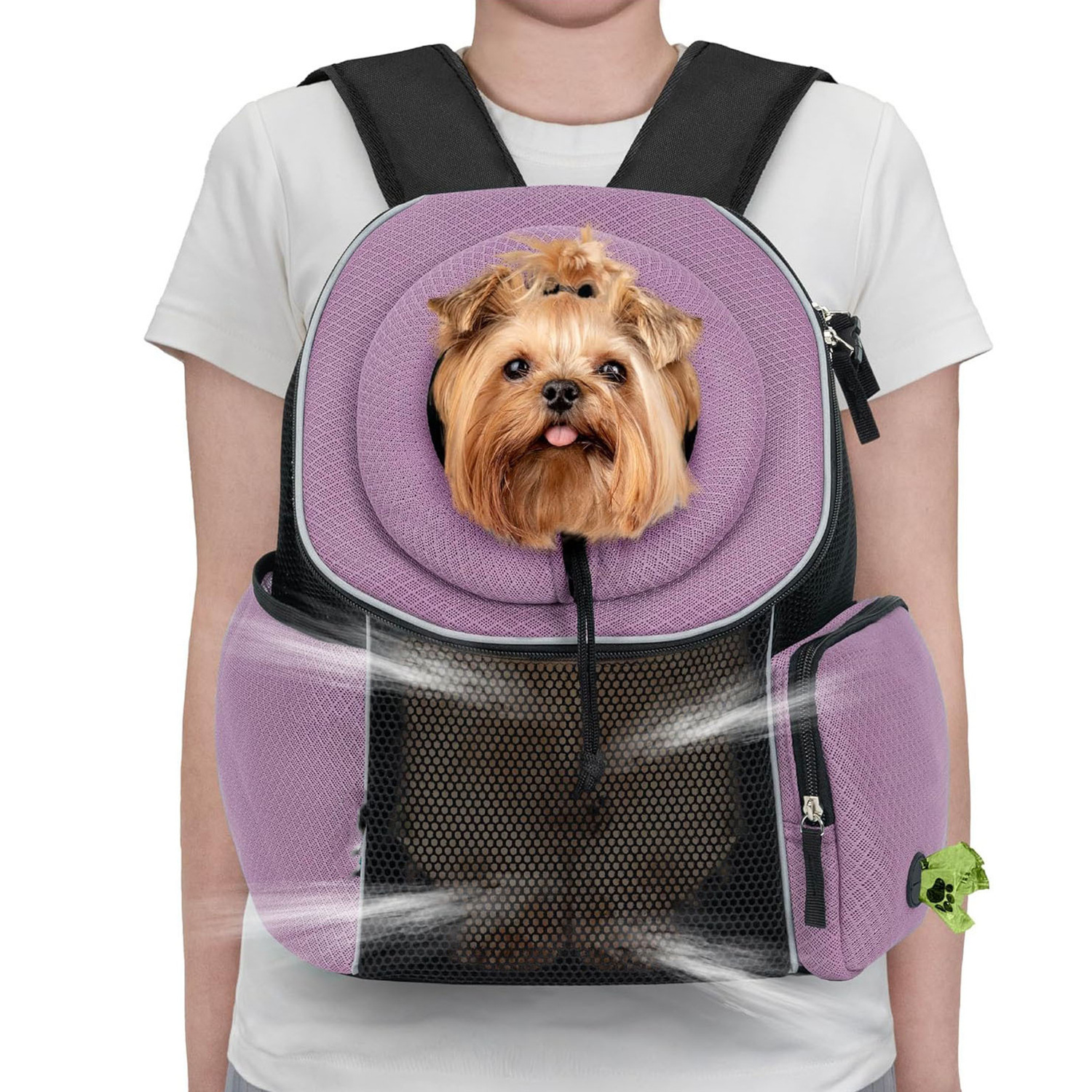 Ventilated Adjustable Pet Backpack - Carrier for Small to Medium Dogs and Large Cats, Purple