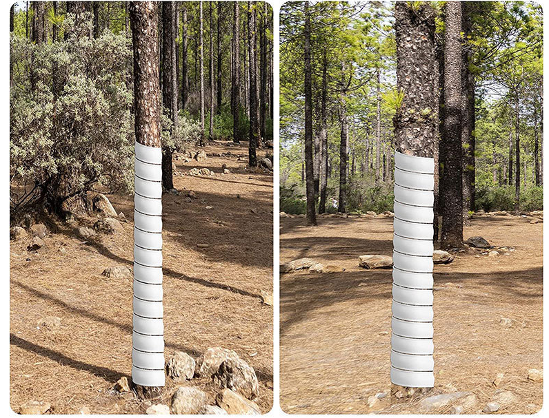 White 4-Pack Spiral Tree Trunk Protector Guard - Flexible Sapling Bark Shield