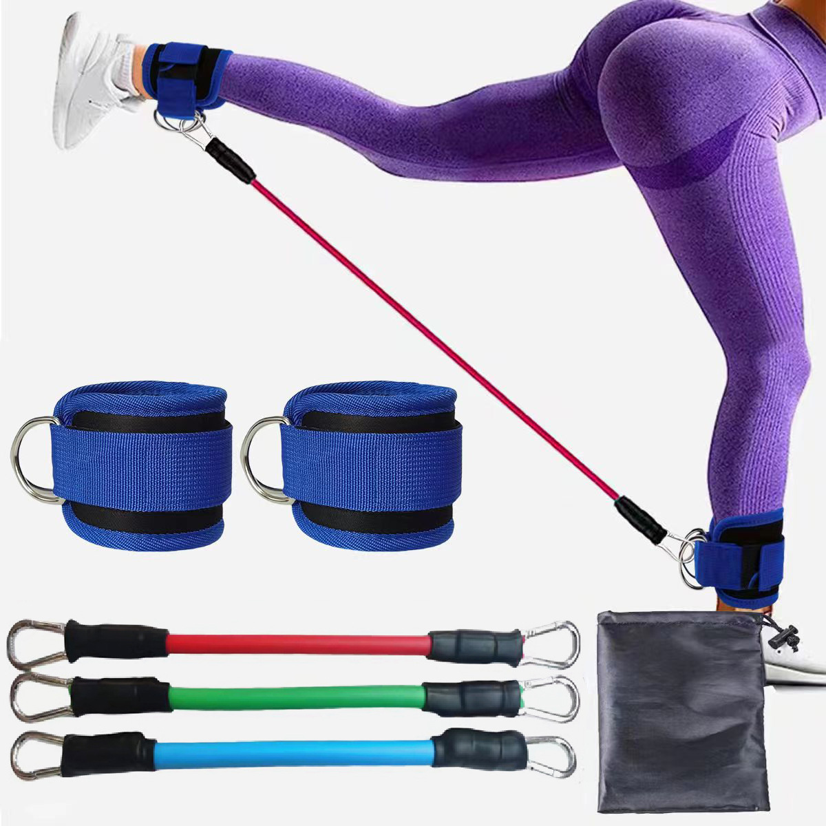 Blue  Silver SnapResistance Bands Set with Ankle Straps for Glute Kickbacks & Leg Workouts (10-30lbs)
