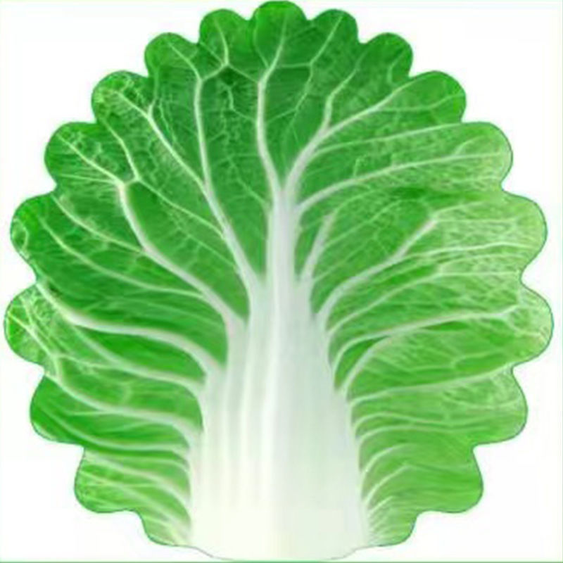 Cute Cabbage-Shaped Fleece Blanket – Fun and Cozy Throw for Naps, Office Use, Air Conditioning, or Baby Swaddling (Green & White)(85cm*85cm)